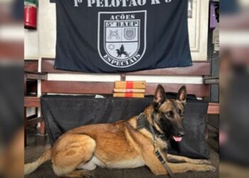 Canil do 5º Baep apreende droga e dinheiro após roubo de carga em Carapicuíba