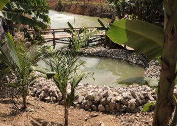 Experiência inovadora é preparada para os visitantes da 12ª Rondônia Rural Show Internacional