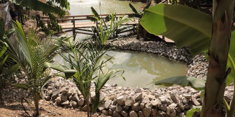 Experiência inovadora é preparada para os visitantes da 12ª Rondônia Rural Show Internacional