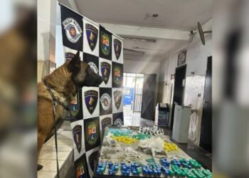 canil-do-5o-baep-apreende-mais-de-1,7-kg-de-drogas-em-jandira