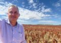 Produtor colhe resultados acima da média no Cerrado com rotação de culturas estratégica