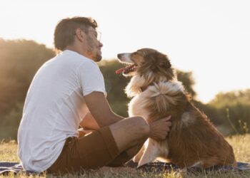 FDA aprova primeiro medicamento do mundo para prolongar a vida de cães idosos