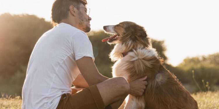 FDA aprova primeiro medicamento do mundo para prolongar a vida de cães idosos