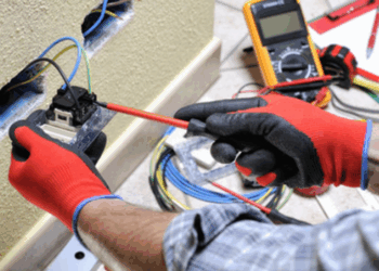 opiniao:-mei-nas-prefeituras,-a-flor-atraente?