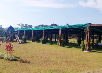 sp-lanca-roteiros-pedagogicos-no-parque-jequitiba-e-mais-11-unidades-urbanas