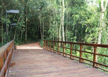 parque-jequitiba,-em-cotia,-tera-atividades-na-semana-do-meio-ambiente