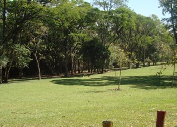 dica-de-lazer-para-o-fim-de-semana-em-cotia:-parques-cemucam-e-jequitiba