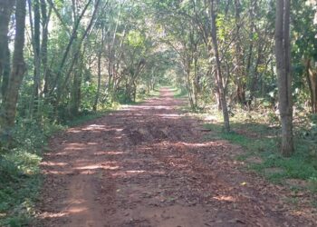 confira-os-principais-cuidados-a-serem-tomados-ao-fazer-trilhas