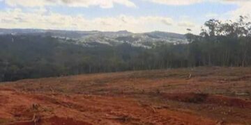 PM Ambiental flagra loteamentos clandestinos na área do Caputera, em Cotia