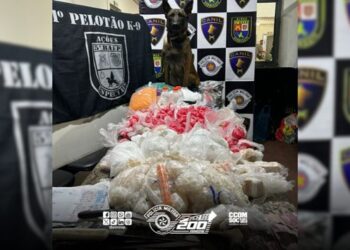 cao-farejador-localiza-mais-de-13-kg-de-drogas-na-regiao