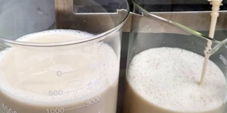 Future Cow: tecnologia vai produzir proteínas do leite sem vacas