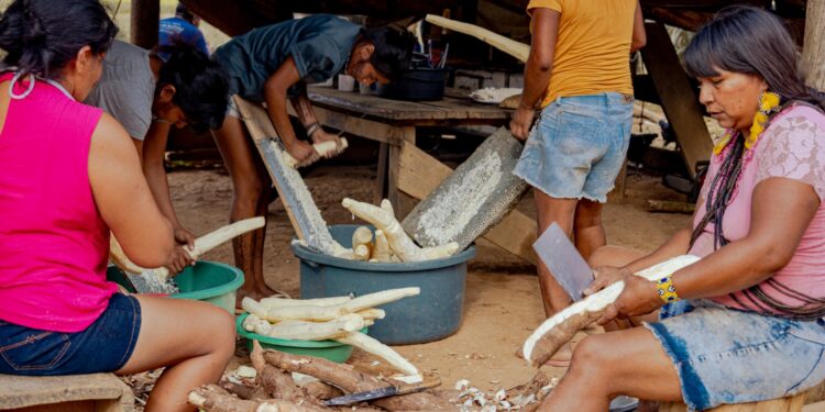 Documentário filmado em Vilhena retrata produção da chicha e do beiju entre os Nambiquaras