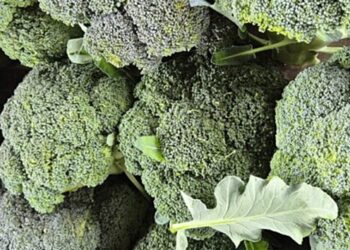 cotia-esta-entre-as-6-cidades-do-pais-que-mais-produzem-brocolis-ninja