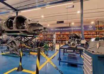 dona-da-fiat-inaugura-desmanche-e-vende-pecas-usadas-na-regiao