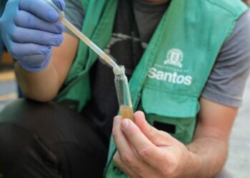 Formação de brigadas vão incrementar combate ao Aedes aegypti nas escolas de Santos