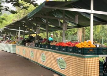 parque-jequitiba-recebe-pela-primeira-vez-a-ecofeira-granja-viana