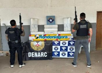 Denarc e Receita Federal apreendem 350 kg de skunk em carreta na BR-319, em Porto Velho