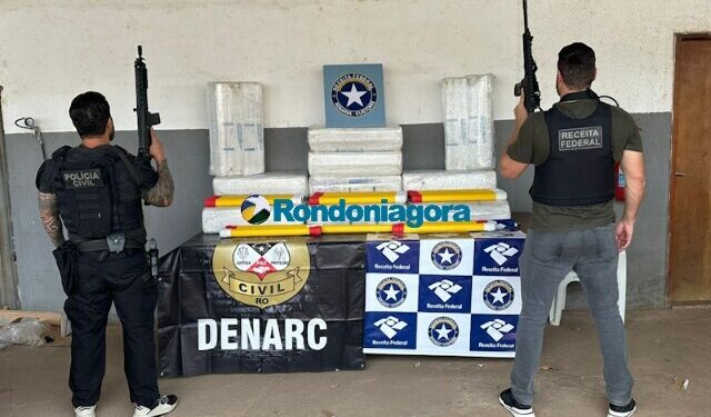 Denarc e Receita Federal apreendem 350 kg de skunk em carreta na BR-319, em Porto Velho