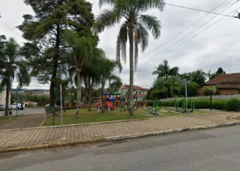 Moradores flagram estupro de vulnerável em praça de SC e suspeito passa mal após prisão