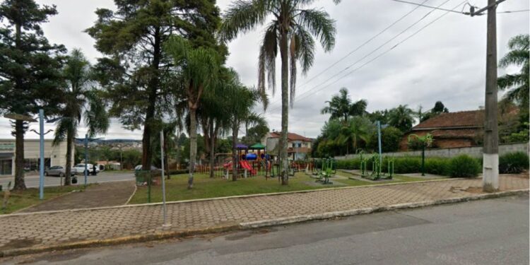 Moradores flagram estupro de vulnerável em praça de SC e suspeito passa mal após prisão