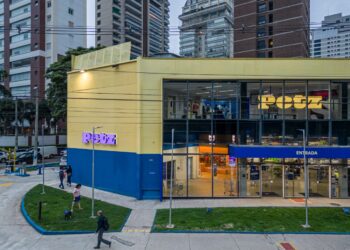 Vale a pena investir em Petz (PETZ3)?