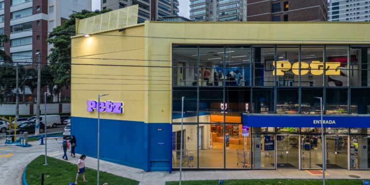 Vale a pena investir em Petz (PETZ3)?