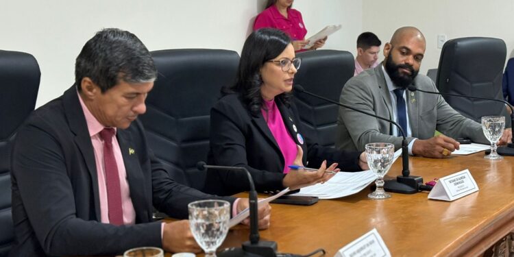 Câmara de Jaru aprova novos investimentos destinados à infraestrutura, saúde e tecnologia