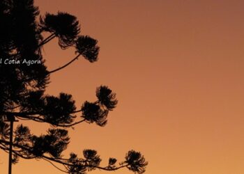 Previsão do tempo: Semana será de muito sol e calor em Cotia e região