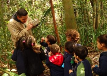 dia-das-criancas:-veja-7-dicas-do-ipem-sp-na-compra-de-produtos