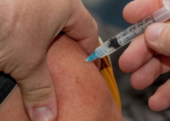 granja-viana-tera-vacinacao-para-adultos-e-criancas-dia-17