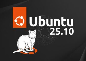 Ubuntu 25.10 “Questing Quokka”: o melhor Linux para substituir o Windows 10?