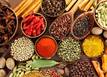 confira-7-temperos-que-ajudam-a-emagrecer