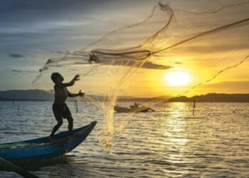 esta-proibida-a-pesca-de-peixes-nativos-ate-o-final-de-fevereiro