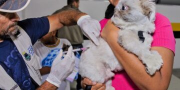 Vacinação contra raiva vai chegar na região do Jardim Sandra