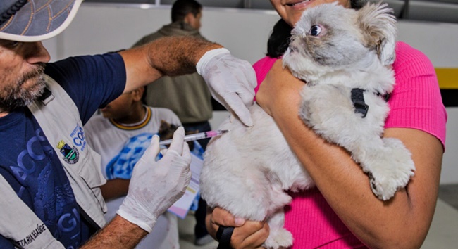 Vacinação contra raiva vai chegar na região do Jardim Sandra