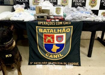 Mais de 50 kg de drogas são apreendidos em Embu das Artes