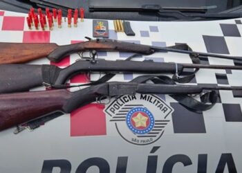 PM apreende armas e munições em residência de Vargem Grande Paulista