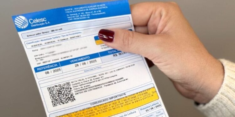 Seis pessoas são indiciadas por fraude em sistema de doações em faturas da Celesc em SC