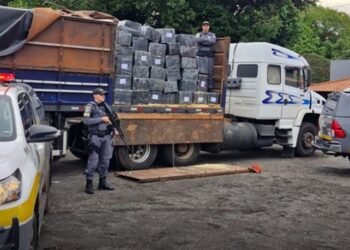 quase-2-toneladas-de-maconha-que-viriam-para-cotia-sao-apreendidas-no-interior