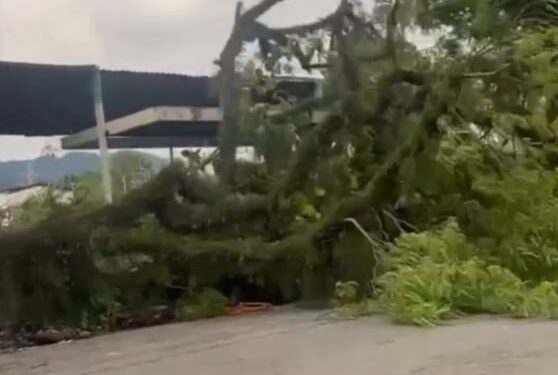 Ciclone Extratropical provoca ventos de quase 100 km/h e estragos em cidades da Baixada Santista; VÍDEO