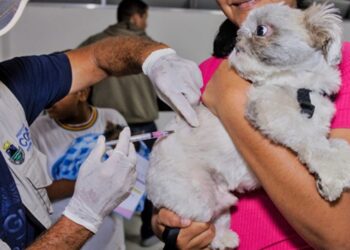 Vacinação contra raiva vai chegar na região do Jardim Leonor
