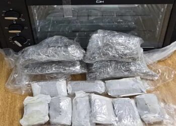 drogas-que-viriam-dentro-de-forno-eletrico-para-cotia-sao-apreendidas-no-pr