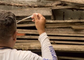 Sete bairros de Cotia vão receber ação contra dengue