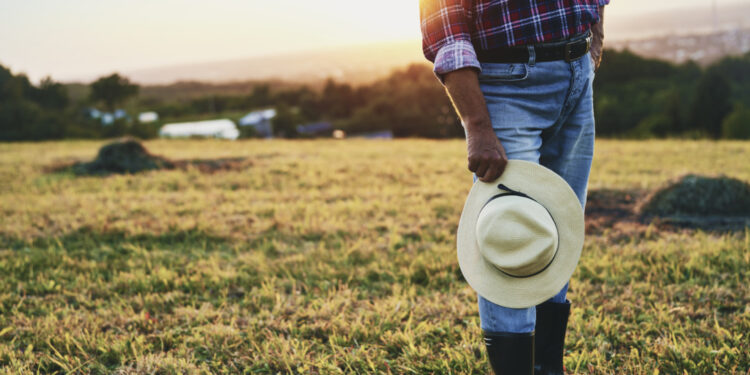 Exceção de pré-executividade é cabível se há ilegalidade no contrato