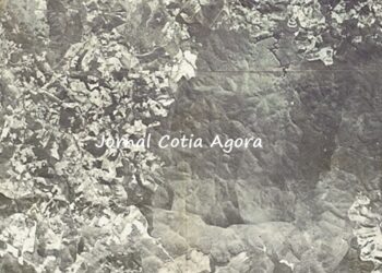 Parte da Reserva do Morro Grande, em Cotia, iria receber o aeroporto que foi construído em Guarulhos