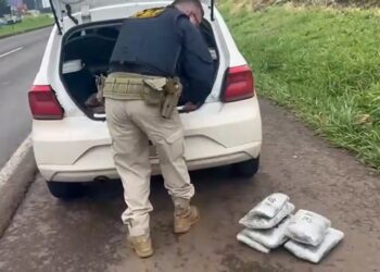 morador-de-cotia-e-preso-com-24,5-quilos-de-haxixe-no-pr