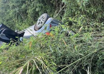 Carro capota na Raposo Tavares e para em bambuzal após motorista passar mal