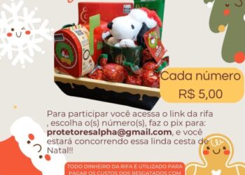 ong-de-protecao-animal-lanca-rifa-de-natal-em-prol-dos-bichinhos