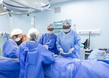 SP investe R$ 16 milhões em pesquisa de transplante de órgãos de animais para humanos