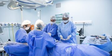 SP investe R$ 16 milhões em pesquisa de transplante de órgãos de animais para humanos